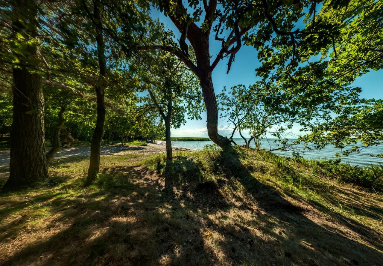 Traumhaff Historischer Kahnschifferhof Mit Kamin, Liebevoll Restauriert Vogelsang-Warsin Экстерьер фото